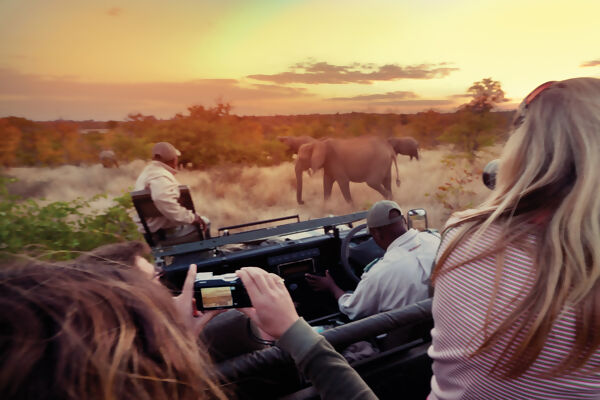 Explore Kruger National Park