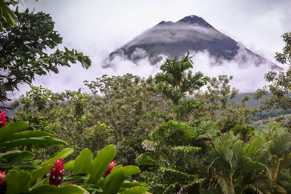 Volcano Adventure & Panama Highlights